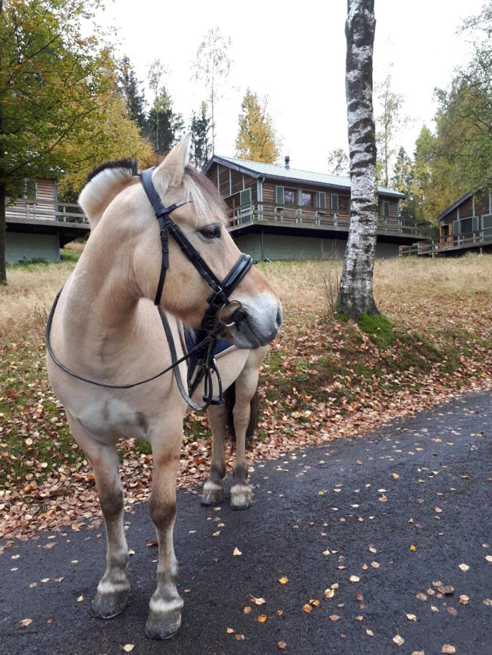 Chalet Le Forestier ビューリンゲン エクステリア 写真