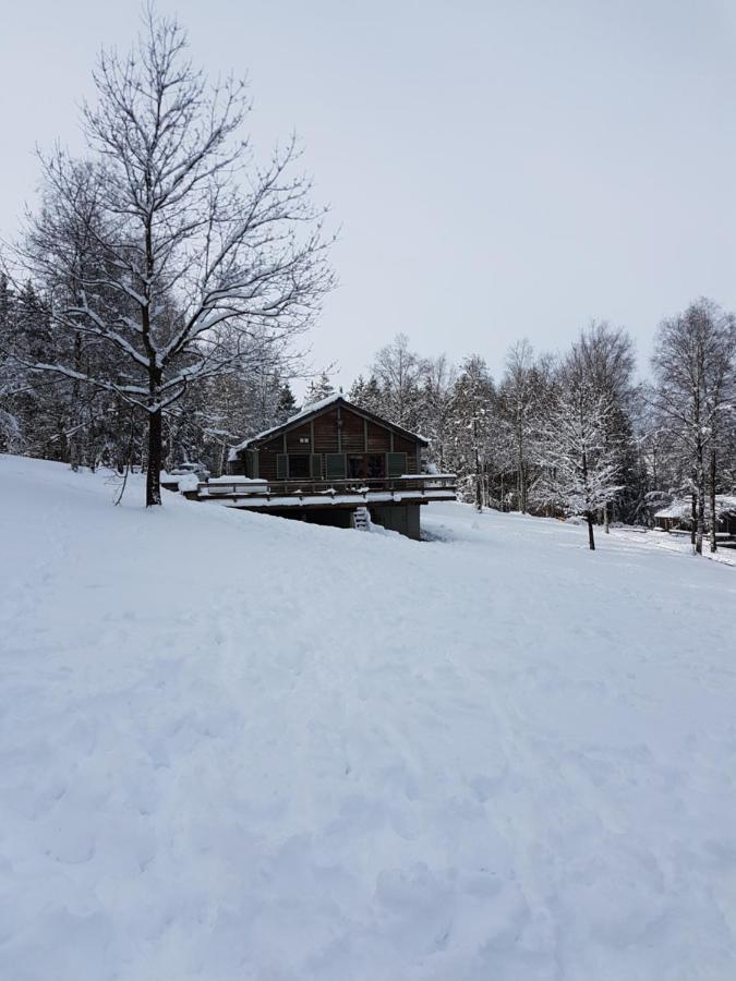 Chalet Le Forestier ビューリンゲン エクステリア 写真